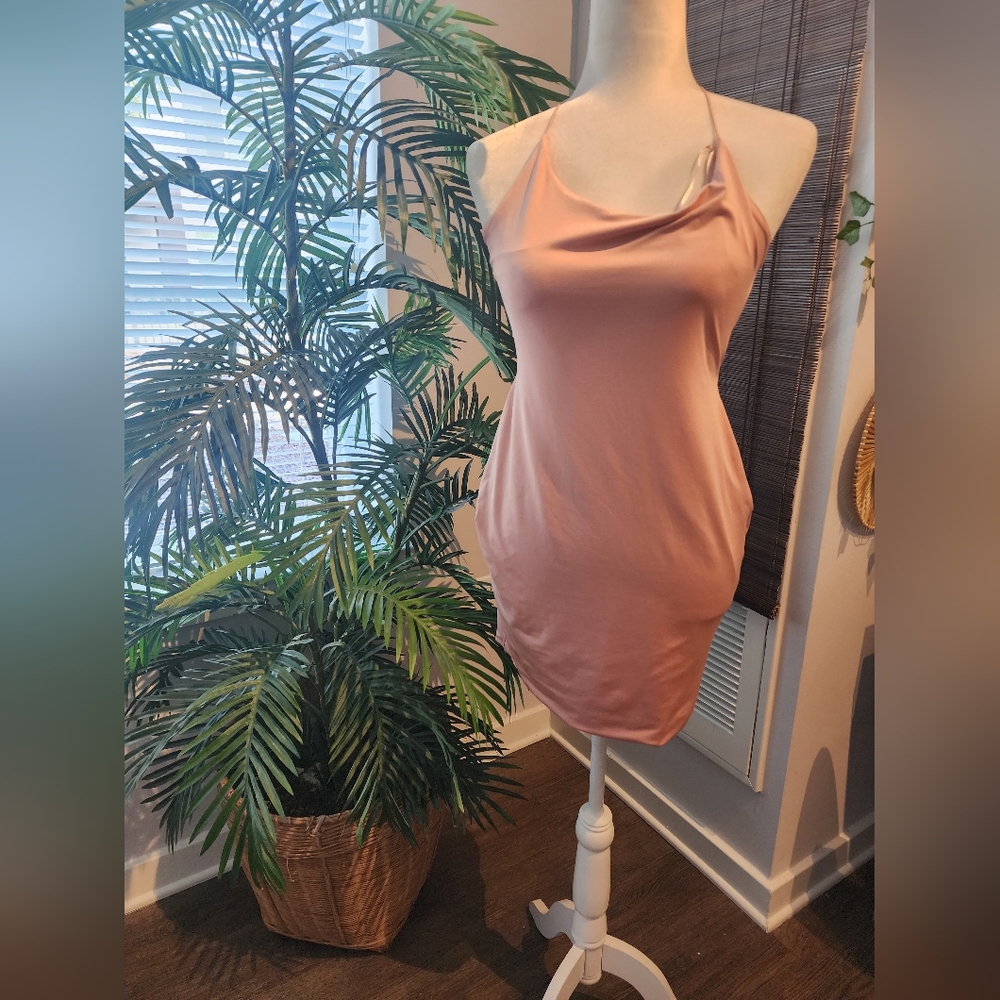 nwt baby blush pink mini dress